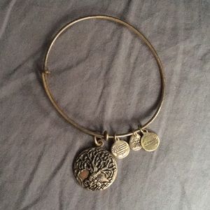 Alex and Ani bangle